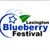 The Lexington Blueberry Festival Logo