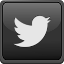 Twitter: Blueberry_Patch